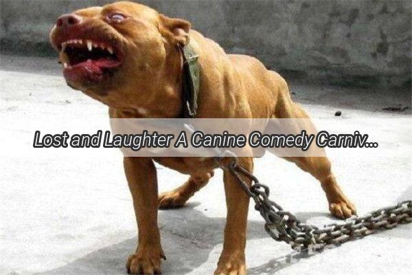 Lost and Laughter A Canine Comedy Carnival of Missed Paws and Mischievous Mishaps